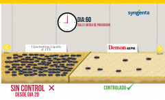 DEMON VS OTROS INSECTICIDAS